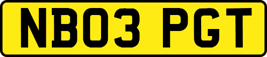NB03PGT