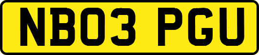 NB03PGU