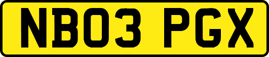 NB03PGX