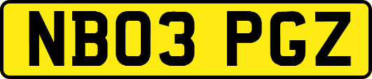 NB03PGZ