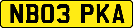 NB03PKA