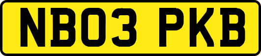 NB03PKB