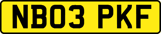 NB03PKF