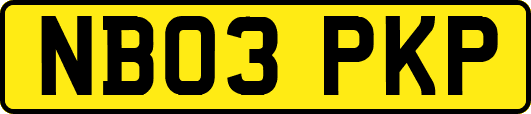 NB03PKP