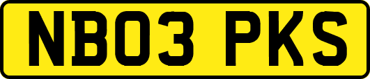 NB03PKS