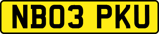 NB03PKU