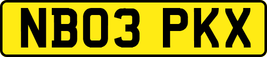 NB03PKX