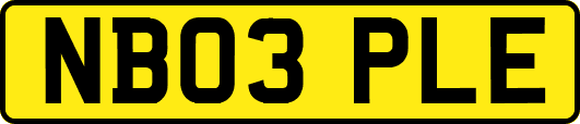NB03PLE