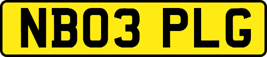 NB03PLG