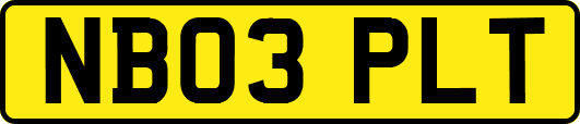 NB03PLT