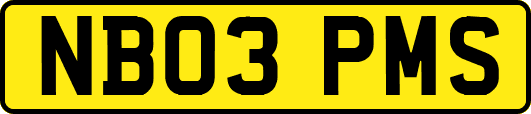 NB03PMS