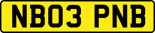 NB03PNB
