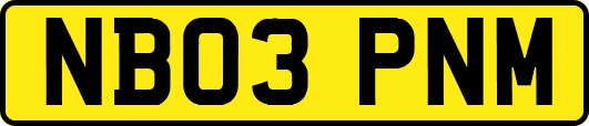 NB03PNM