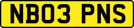 NB03PNS