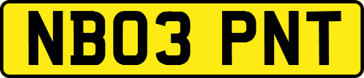 NB03PNT