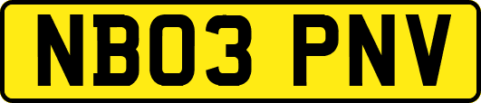 NB03PNV