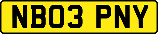 NB03PNY