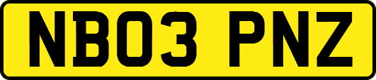 NB03PNZ
