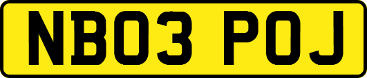 NB03POJ