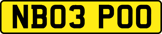 NB03POO