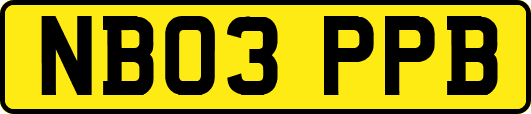NB03PPB