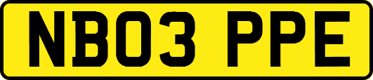 NB03PPE