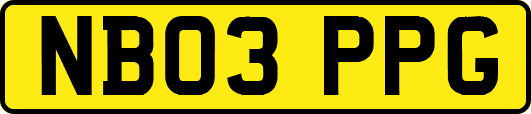 NB03PPG