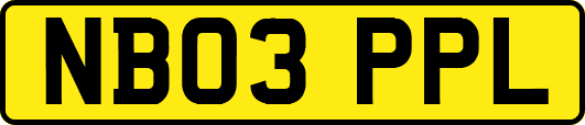 NB03PPL