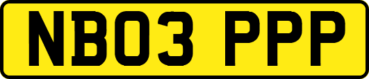 NB03PPP