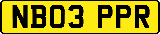 NB03PPR