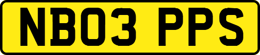 NB03PPS