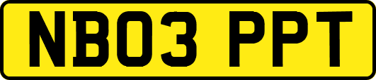 NB03PPT