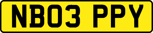NB03PPY