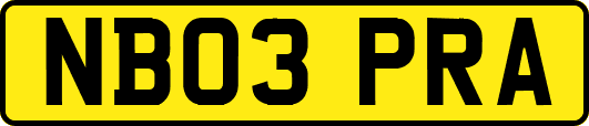 NB03PRA