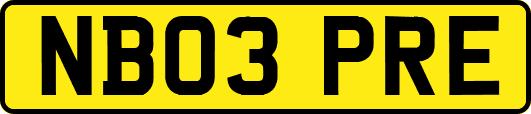NB03PRE