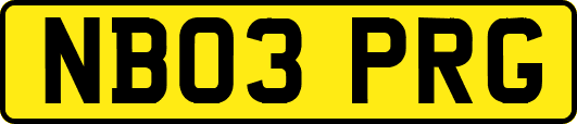 NB03PRG