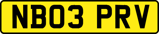 NB03PRV