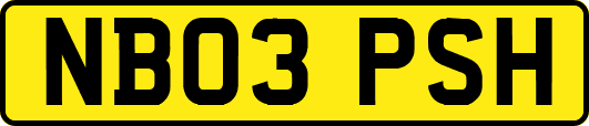 NB03PSH