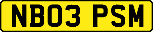 NB03PSM