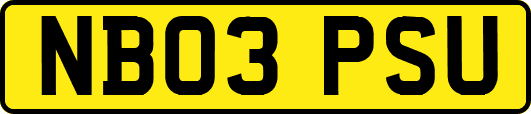 NB03PSU