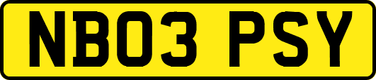 NB03PSY