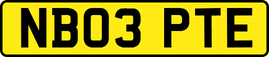 NB03PTE