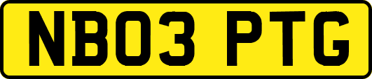 NB03PTG