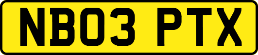 NB03PTX