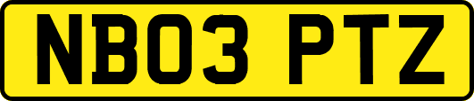NB03PTZ