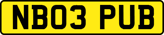 NB03PUB