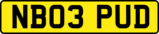 NB03PUD