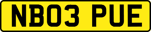 NB03PUE