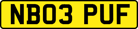 NB03PUF