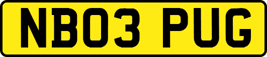 NB03PUG